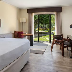 Habitación Deluxe con Cama King