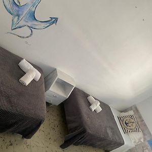 Habitación Estándar con 2 Camas Individuales