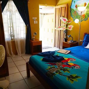 Habitación con Cama Queen