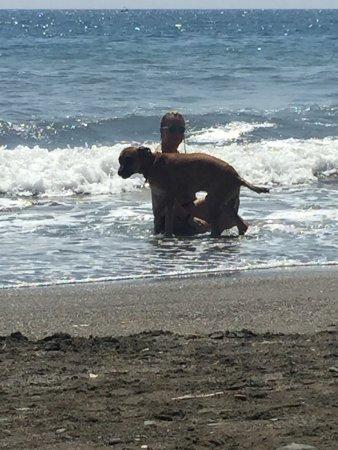 Restaurante LOS GABRIELES