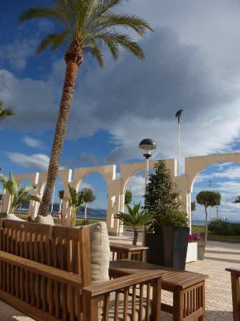 Cafeteria Heladeria Amanecer