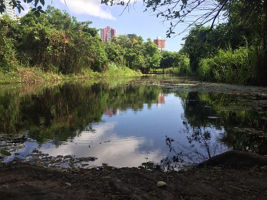 Parque Ecológico del Cocó
