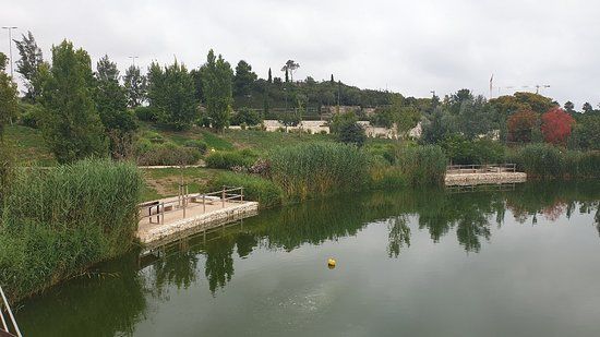 el Parque La Marjal