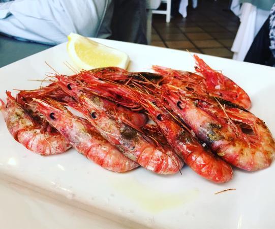 Can Pijaume