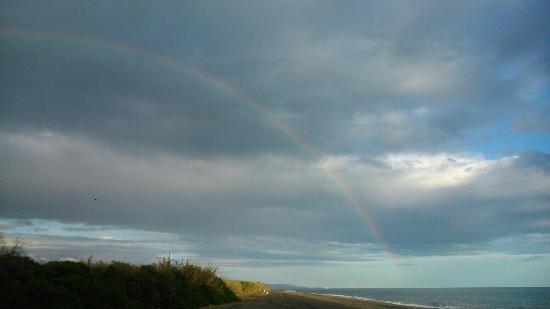 Chiringuito Francesca