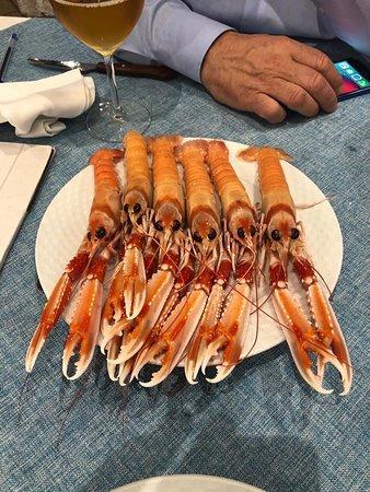 Marisquería La Mayor