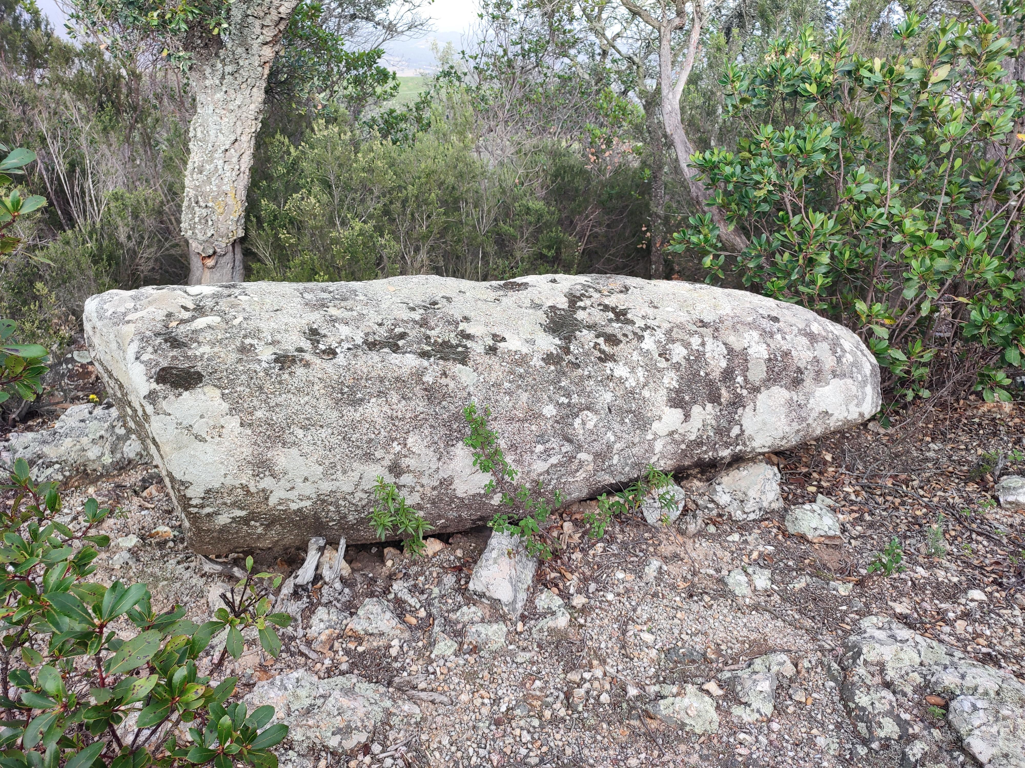 Menhir de Can Mont