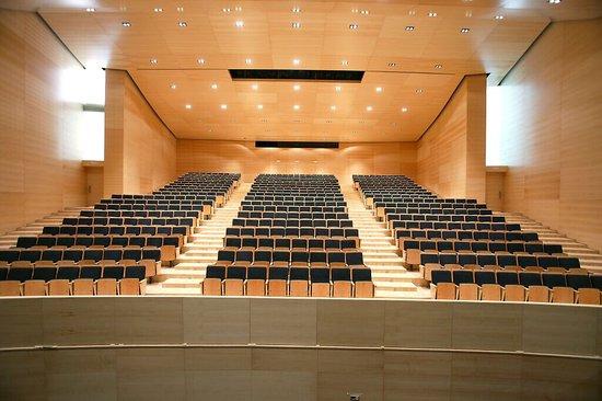 Teatre Auditori