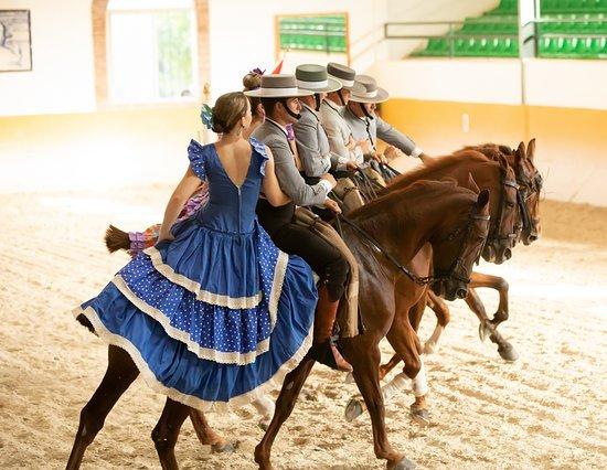 Ritmo a Caballo & Andalusian Night
