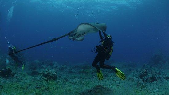 Atlantic Divers