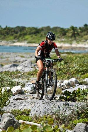 Elite Cyclery Tours & Bike Rental
