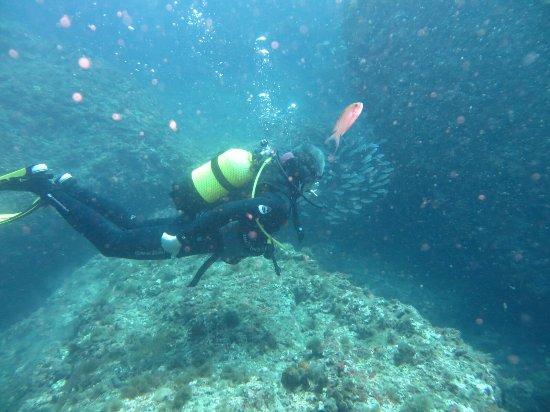 Centro de Buceo Open Water