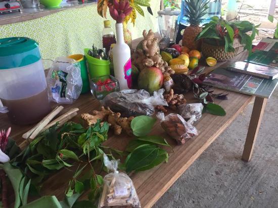 Centro Ashe - Medicinal Plant Education Center