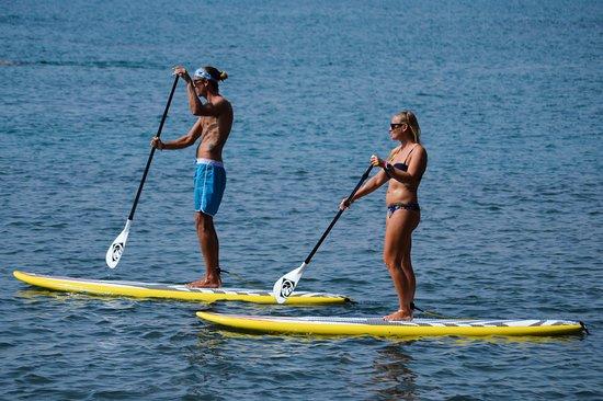 Sun Sea Adventures