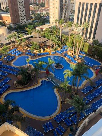 Flamingo Oasis Bar