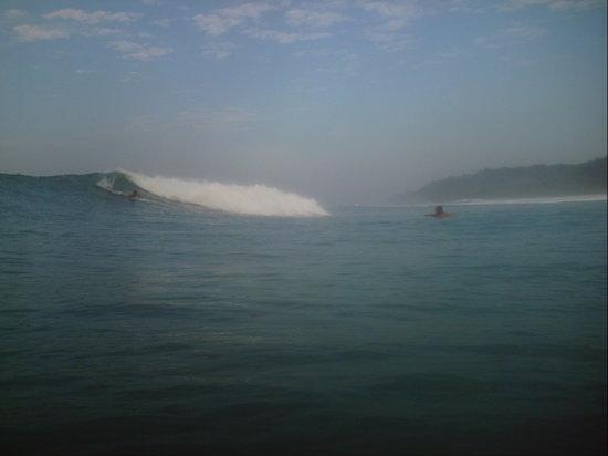 TropicOlas Surf School