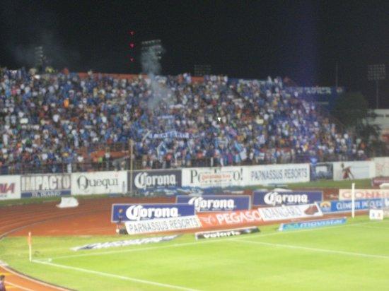 Estadio Andres Quintana Roo