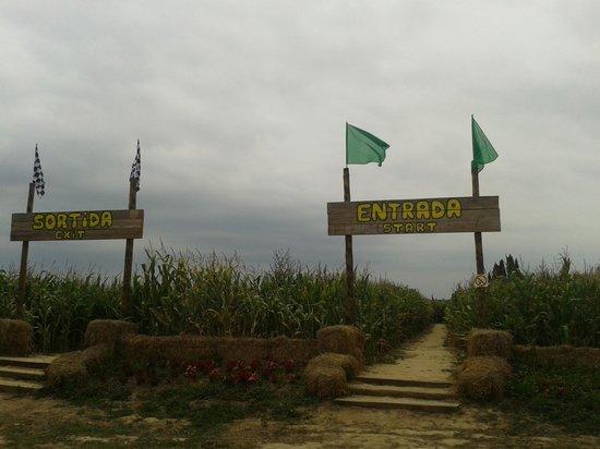 Laberint Sant Pere Pescador