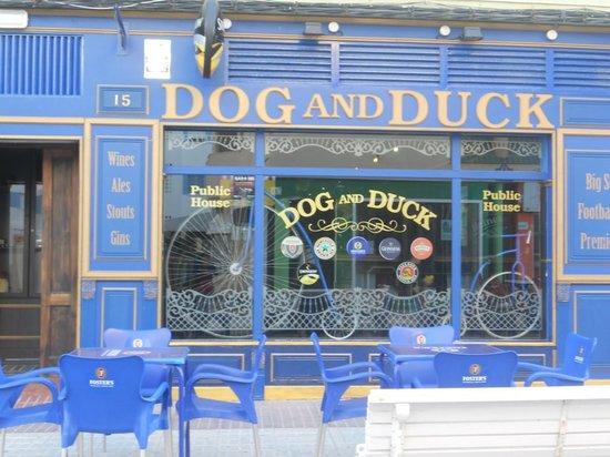 Dog and Duck