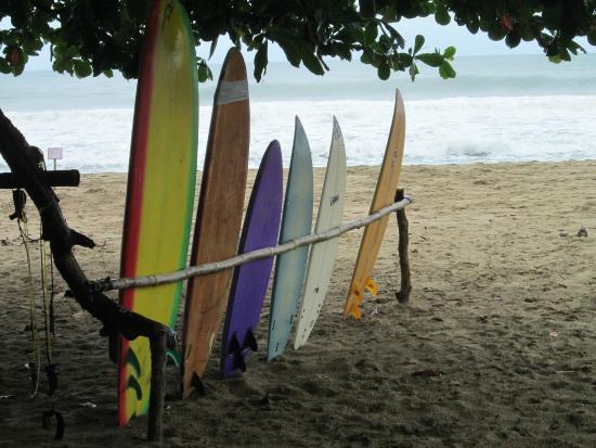 Totem Surf School