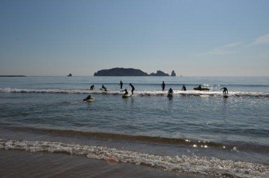 Agro Rural Surf
