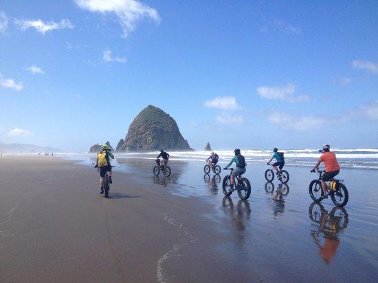 Fatbikes Tours and Rentals Spain - Go Fat