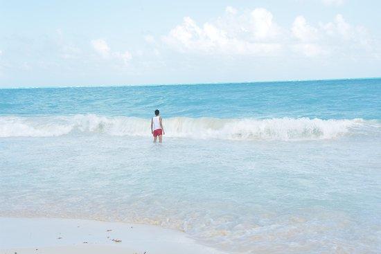 Caribe Paradise Tours