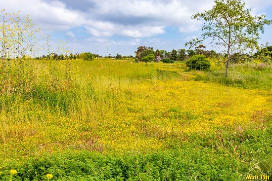 Fairview Park