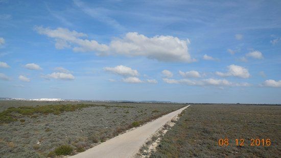 Parque Metropolitano Marisma de los Toruños y Pinar de la Algaida