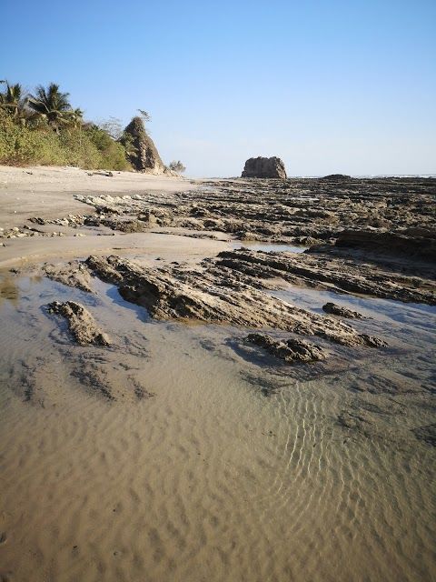 Cocal Beach