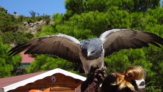 Jardín de las Águilas