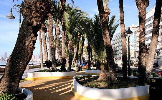 el Parque de Elche