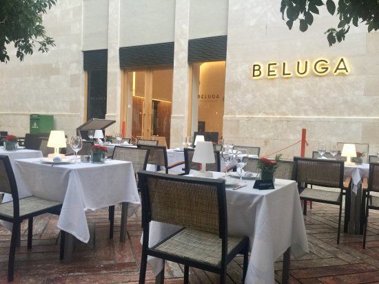 Beluga Malaga